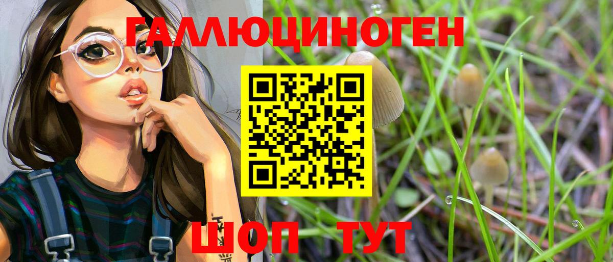 Галлюциногенные грибы Psilocybe  Вход с VPN  Гулькевичи  Галлюциногенные грибы ЛСД 